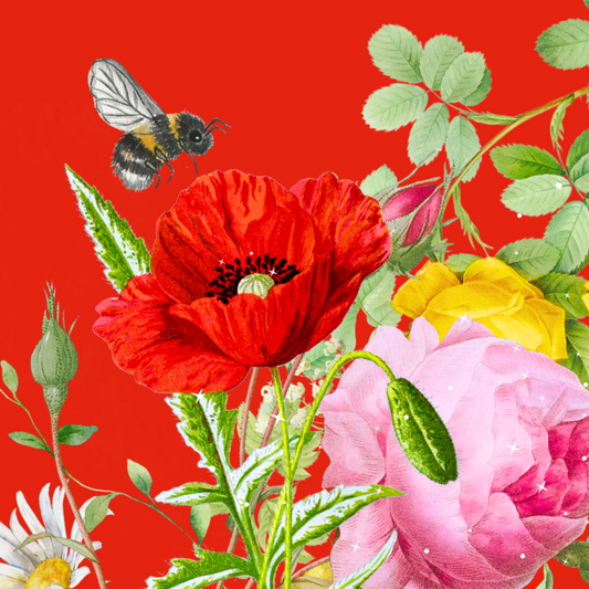 10 blank cards with envelopes - Bee-happy, Poppy