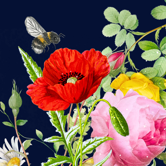 10 blank cards with envelopes - Bee-happy, Shadow