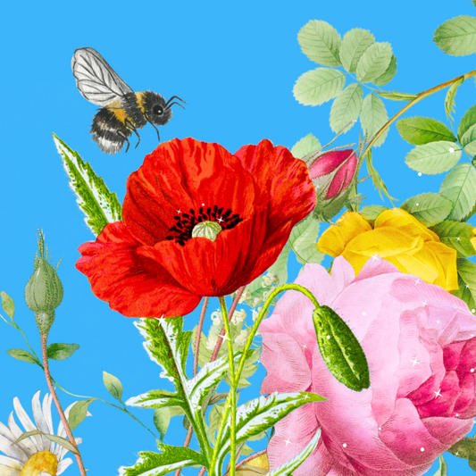 10 blank cards with envelopes - Bee-happy, Sky