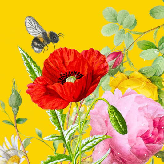 10 blank cards with envelopes - Bee-happy, Sunshine