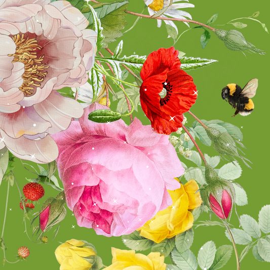 10 blank cards with envelopes - Apple Candy