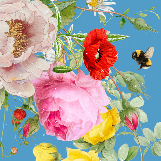 10 blank cards with envelopes - Blueberry Fizz