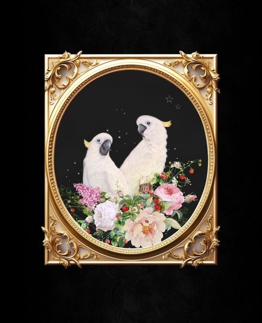 Unframed museum quality print - Peekaboo Cockatoo - various colours