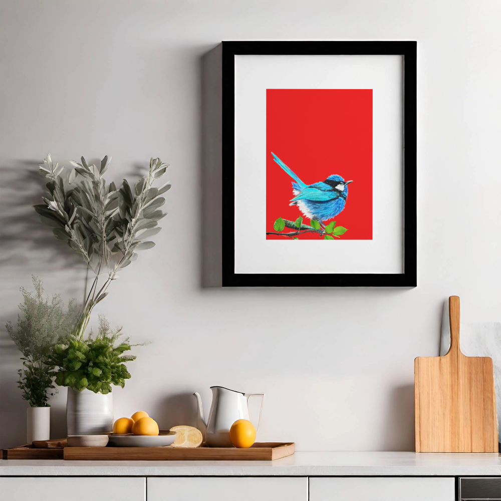 Unframed museum quality print - Fairy Wren