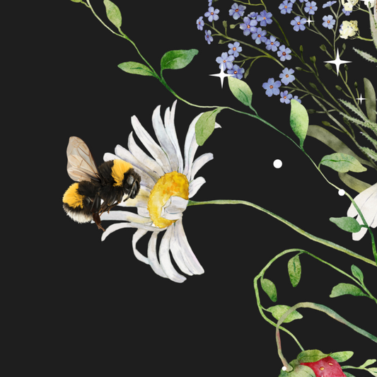 10 blank cards with envelopes - Essence Midnight