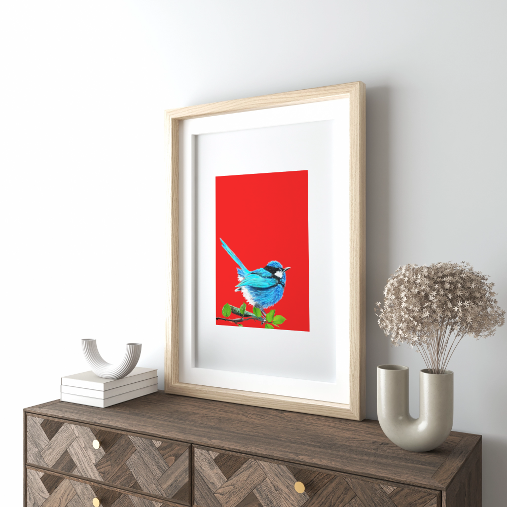 Unframed museum quality print - Fairy Wren