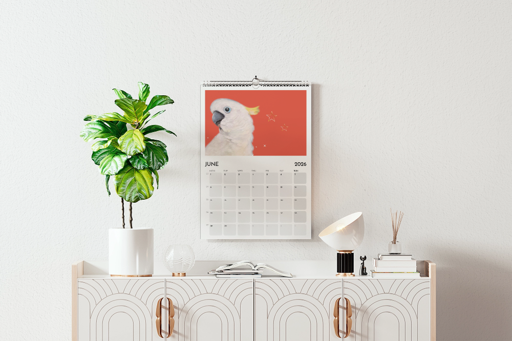 A3 2026 wall calendar - Peekaboo