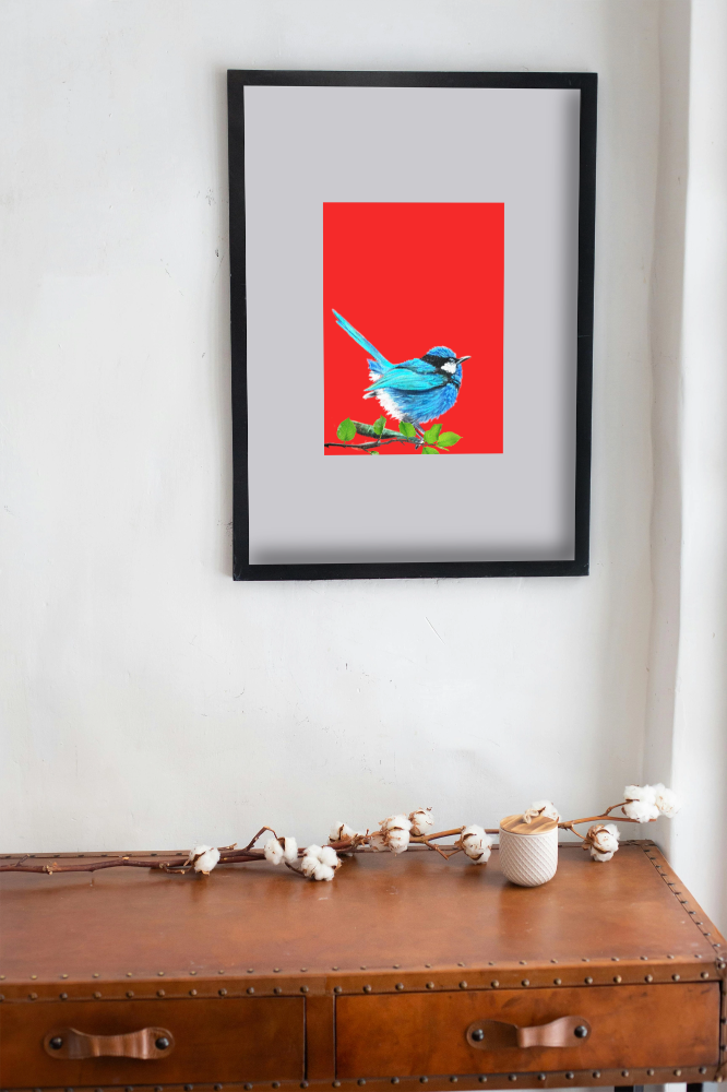 Unframed museum quality print - Fairy Wren