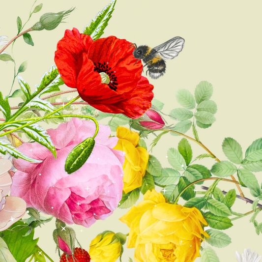 10 blank cards with envelopes - Country Cream