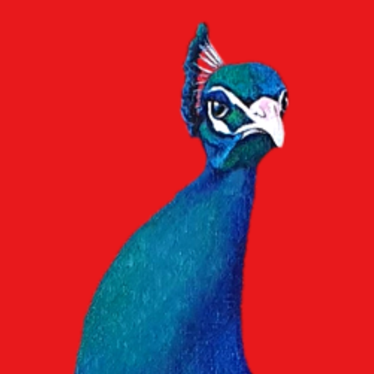 Unframed museum quality print - Beau