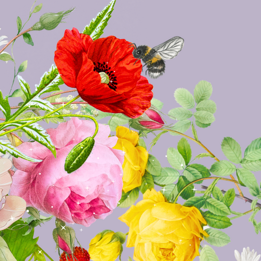 10 blank cards with envelopes - Lavender Hush