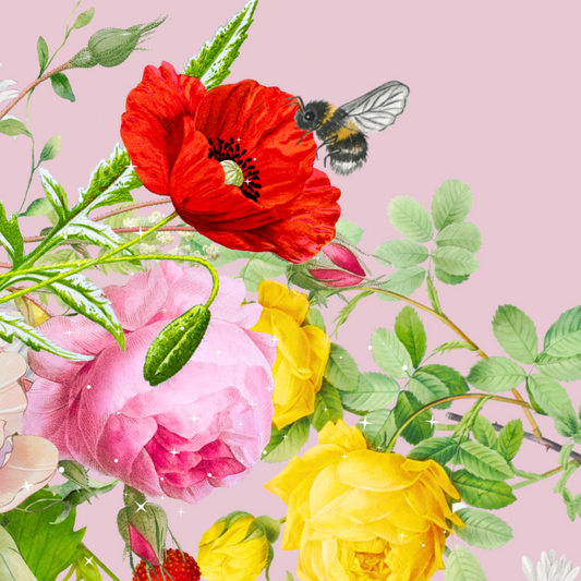 10 blank cards with envelopes - Boutique Pink