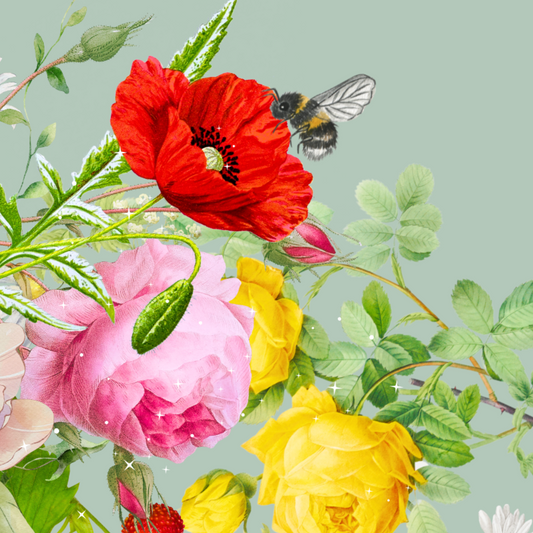 10 blank cards with envelopes - Softest Sage