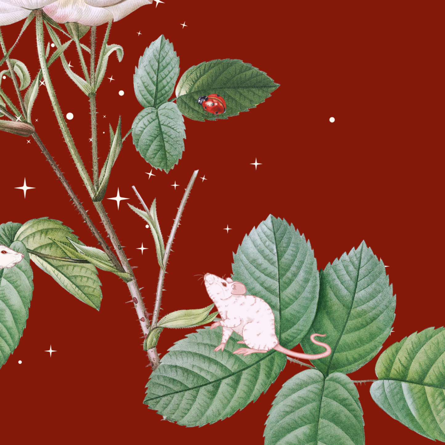 Unframed museum quality print - Midnight Mouse Embers