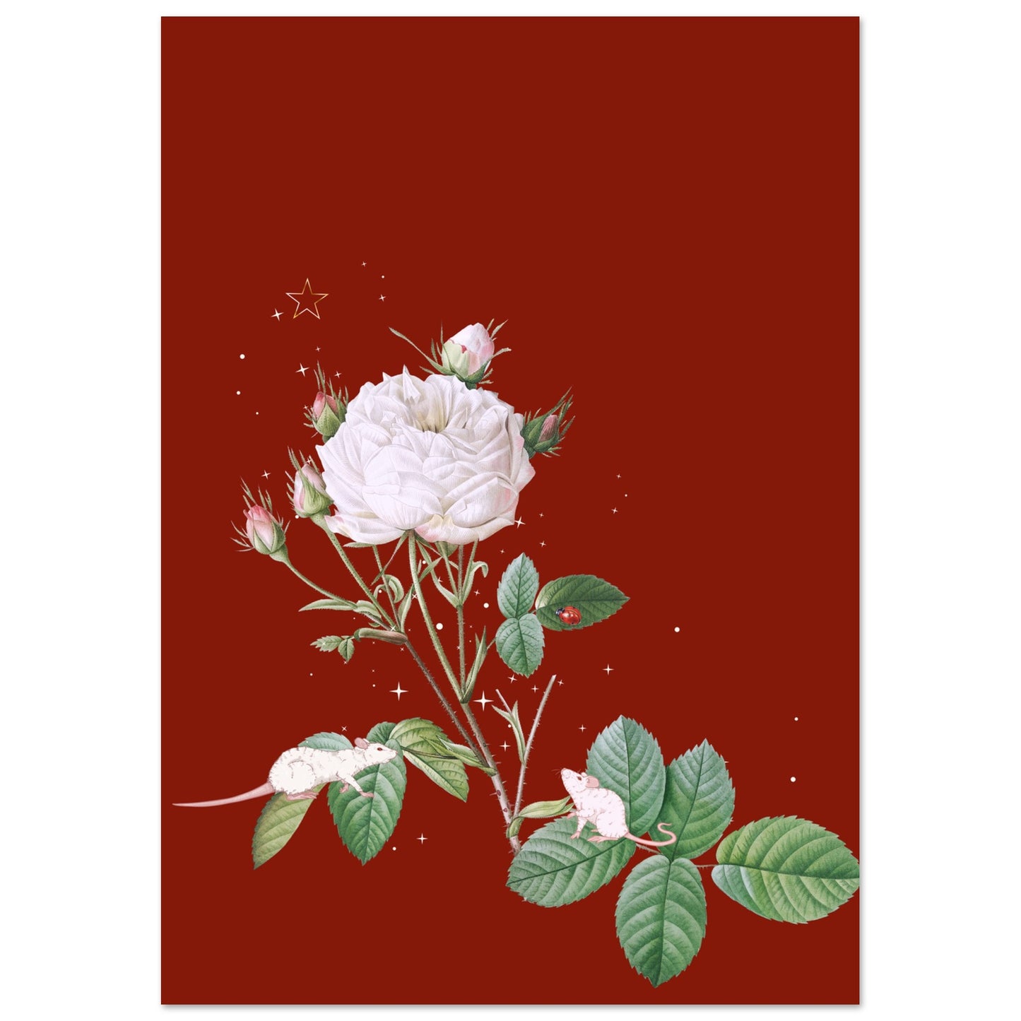 51ba2dd6-1e02-4066-ad0c-0d5d5f4fcd96