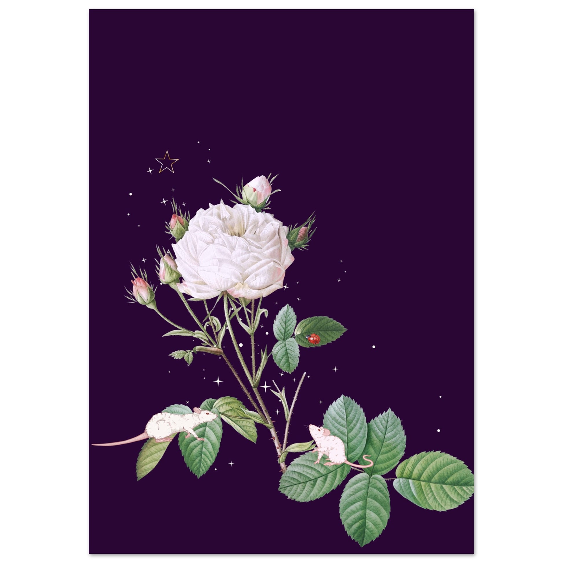 659944c8-62b6-446c-b0cb-1efa3293f231