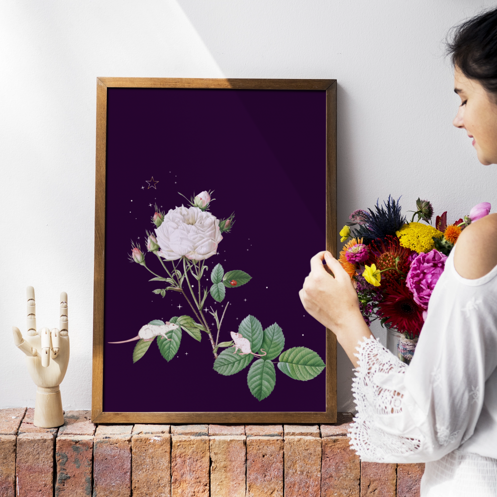 Unframed museum quality print - Midnight Mouse Belladonna
