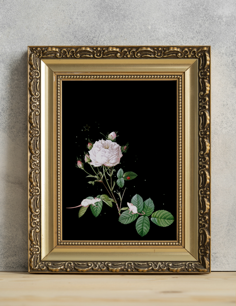 Unframed museum quality print - Midnight Mouse Witchwood