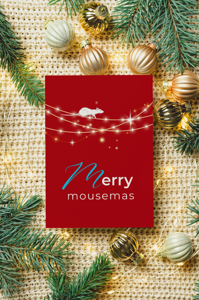 Vibrant modern holiday cards - Merry mousemas Pack of 10 premium
