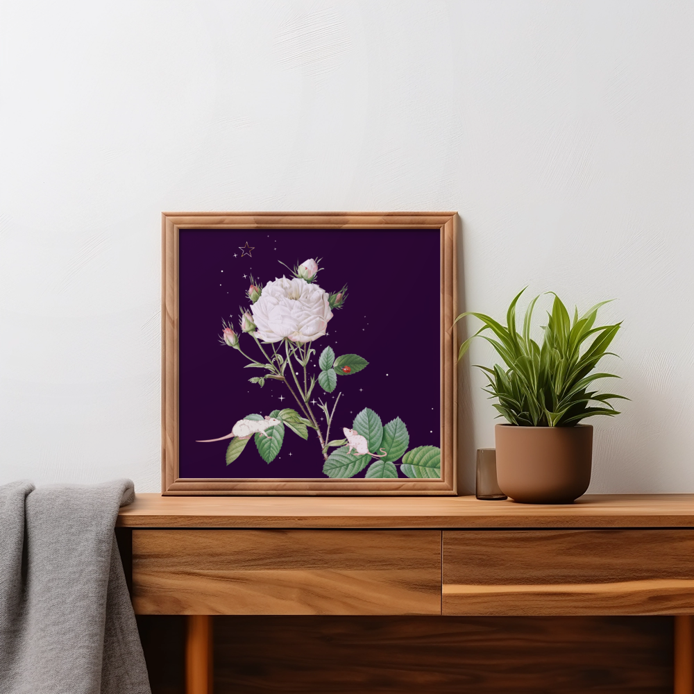 Unframed museum quality print - Midnight Mouse Belladonna