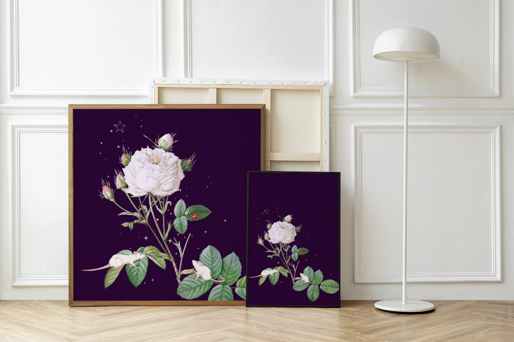 Unframed museum quality print - Midnight Mouse Belladonna