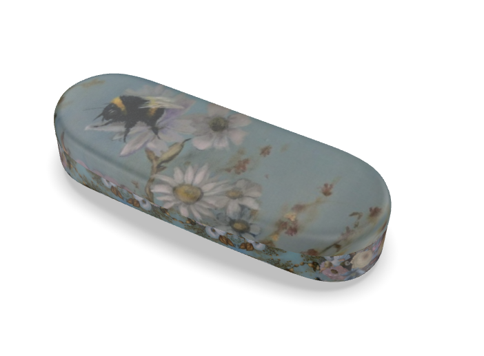 Baby and the bee glasses case