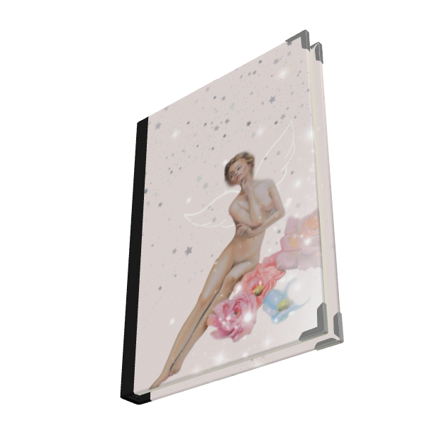 Seraphina 2025 Luxury Satin Covered Diary