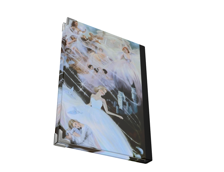 Cinderella 2025 Luxury Satin Covered Diary