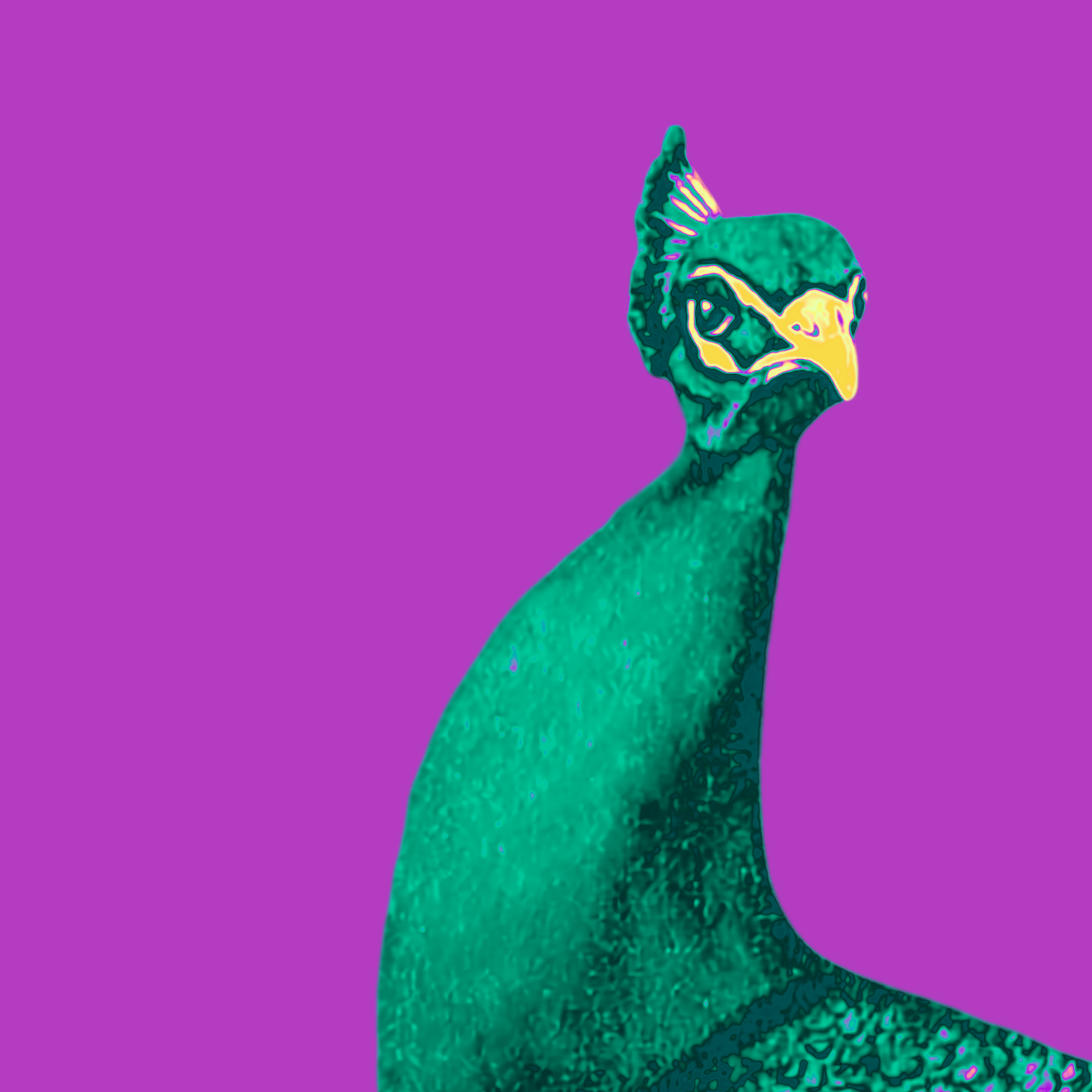 Unframed fine art quality print - Electric Peacock