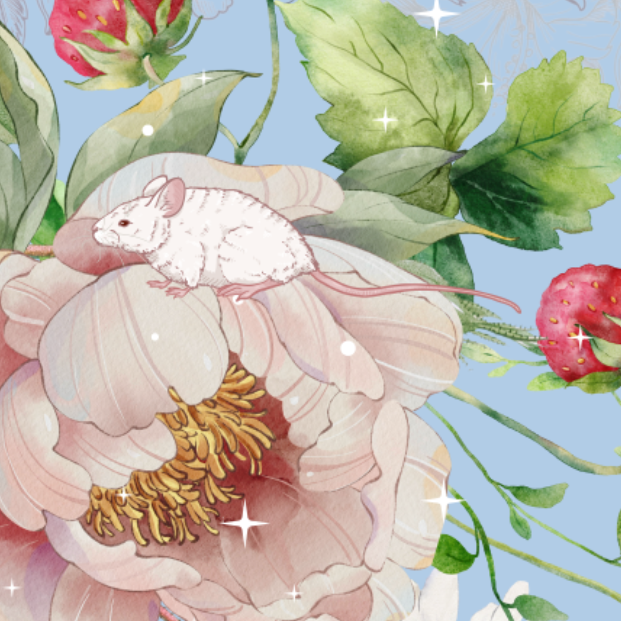 10 blank cards with envelopes - Cendrillon en fleur (nature border)