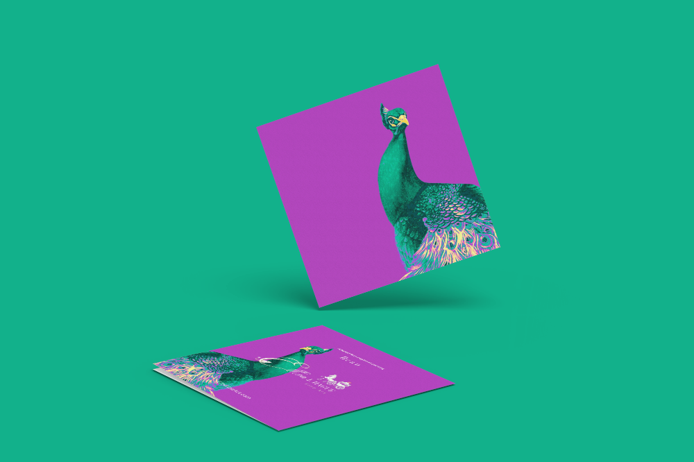 10 blank cards with envelopes - Electric Peacock
